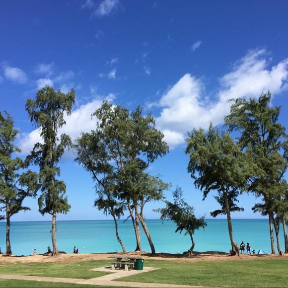 Aloha, - Picture 1 of 1